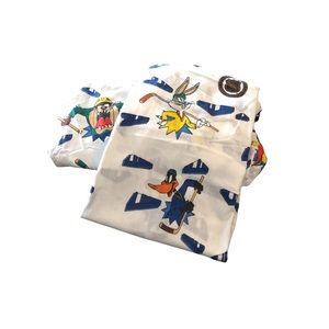 Vintage Looney Tunes Twin Sheets set